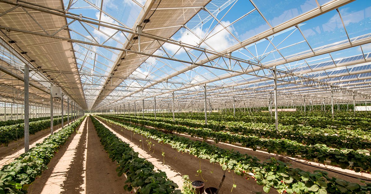 Project Conceptualization & Feasibility